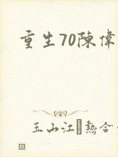重生70陈伟南
