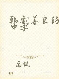 韩剧善良的嫂子中字