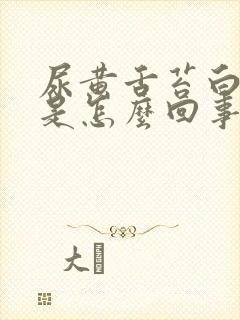 尿黄舌苔白口苦是怎么回事