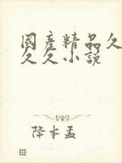 国产精品久久久久久小说