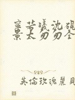 宁若曦沈砚舟盛景太匆匆全文小说封面