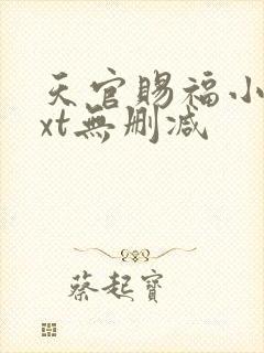 天官赐福小说txt无删减封面