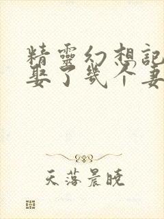 精灵幻想记原著娶了几个妻子