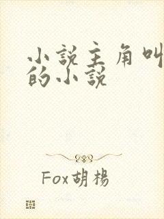 小说主角叫林宇的小说