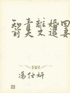 知青离婚回城,前夫又追妻了小说