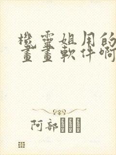 机灵姐用的什么画画软件啊