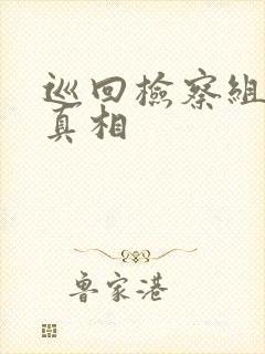 巡回检察组结局真相