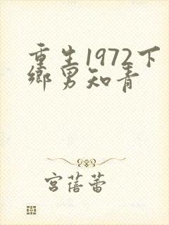 重生1972下乡男知青封面