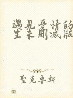 遇见爱情的利先生未删减版