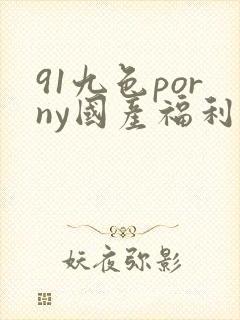 91九色porny国产福利