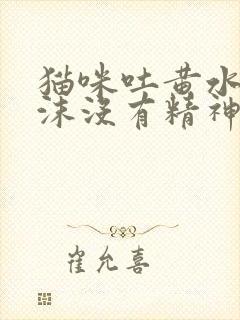 猫咪吐黄水有泡沫没有精神不吃东西