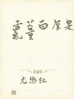 舌苔白厚是有湿气重