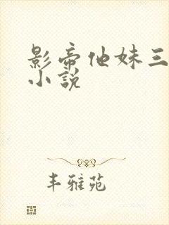 影帝他妹三岁半小说