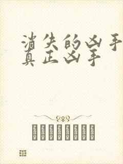 消失的凶手结局真正凶手封面