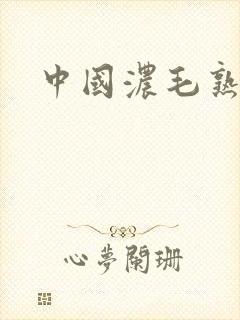 中国浓毛熟女