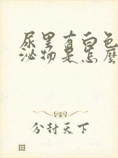 尿里有白色的分泌物是怎么回事