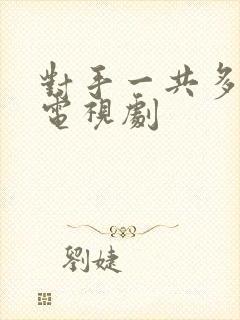 对手一共多少集电视剧