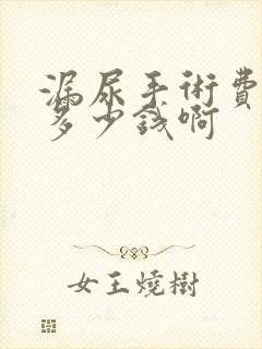 漏尿手术费用是多少钱啊