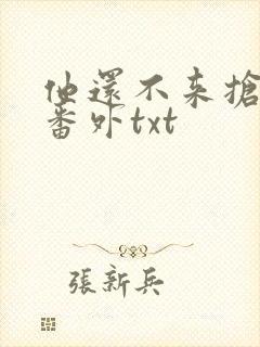 他还不来抢走我番外txt