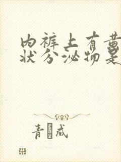 内裤上有黄色水状分泌物是怎么回事