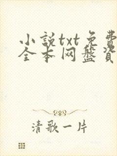 小说txt免费全本网盘资源