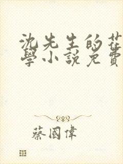 沈先生的花式教学小说免费