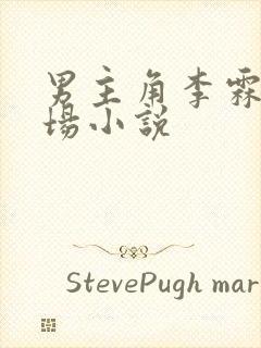 男主角李霖的官场小说