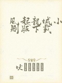 风起龙城小说未删版下载