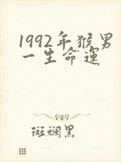 1992年猴男一生命运封面