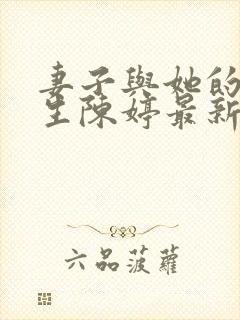 妻子与她的傻学生陈婷最新章节内容