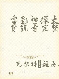 电影神探大战免费观看完整版