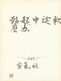 勃起中途软了怎么办封面