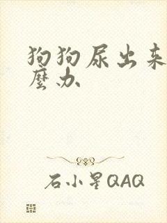 狗狗尿出来血怎么办