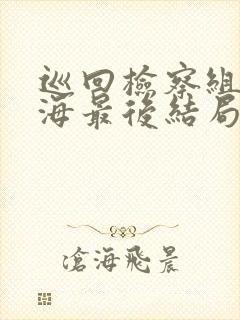 巡回检察组黄四海最后结局封面