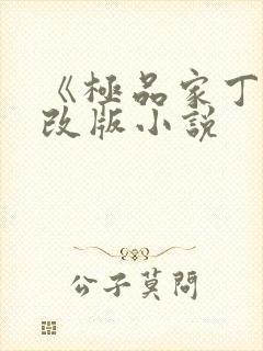 《极品家丁》八改版小说