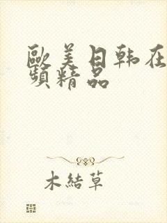 欧美日韩在线视频精品