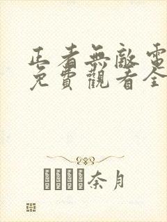 正者无敌电视剧免费观看全集