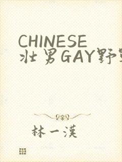 CHINESE壮男GAY野战强迫TUBE封面