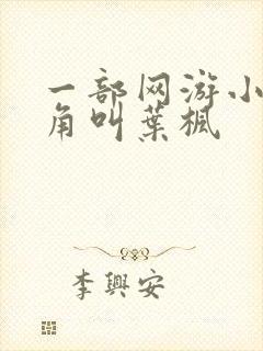 一部网游小说主角叫叶枫