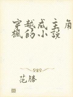 穿越成主角叫叶枫的小说