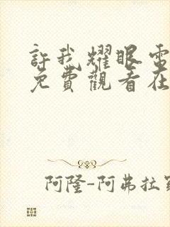 许我耀眼电视剧免费观看在线封面