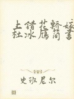上错花轿嫁对郎杜冰雁简书