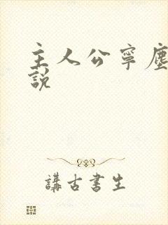 主人公宁尘的小说