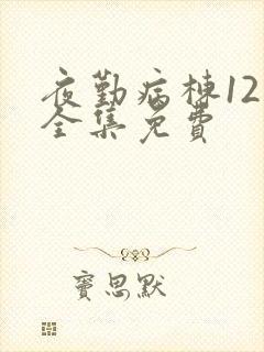 夜勤病栋12集全集免费