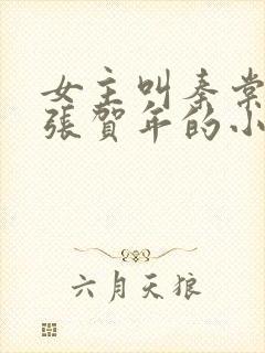 女主叫秦棠男主张贺年的小说封面