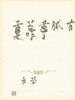 舌苔黄腻有裂纹是咋了封面