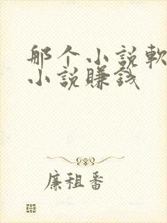 那个小说软件写小说赚钱