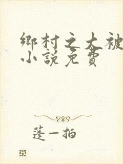 乡村之大被同眠小说免费