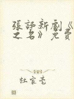 张译新剧《以法之名》免费观看