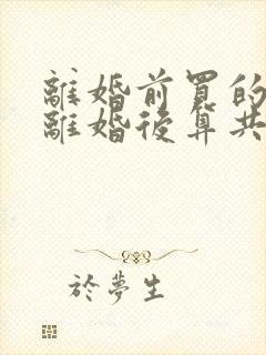 离婚前买的房子离婚后算共同财产吗